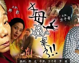 国内视频在线观看播放